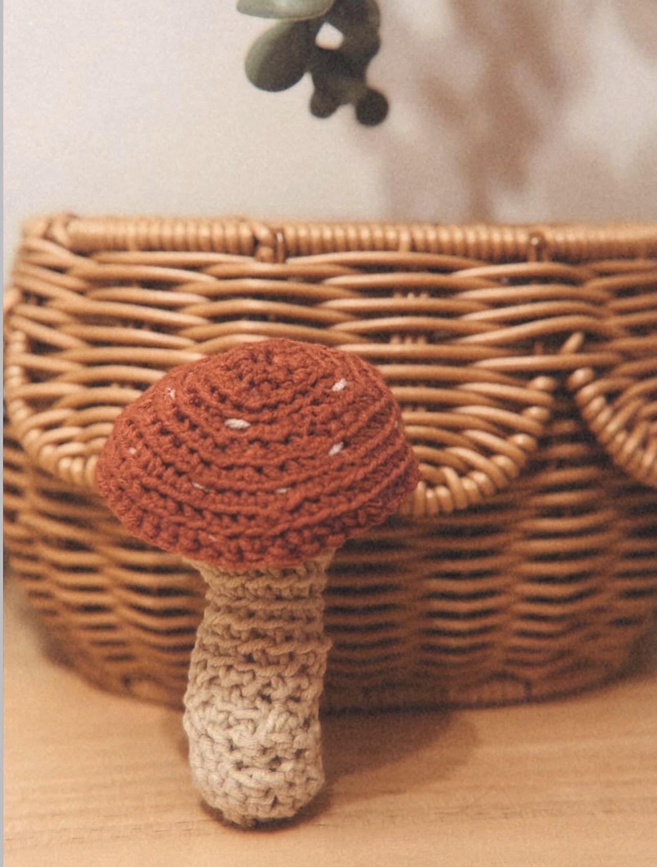 Seta de crochet
