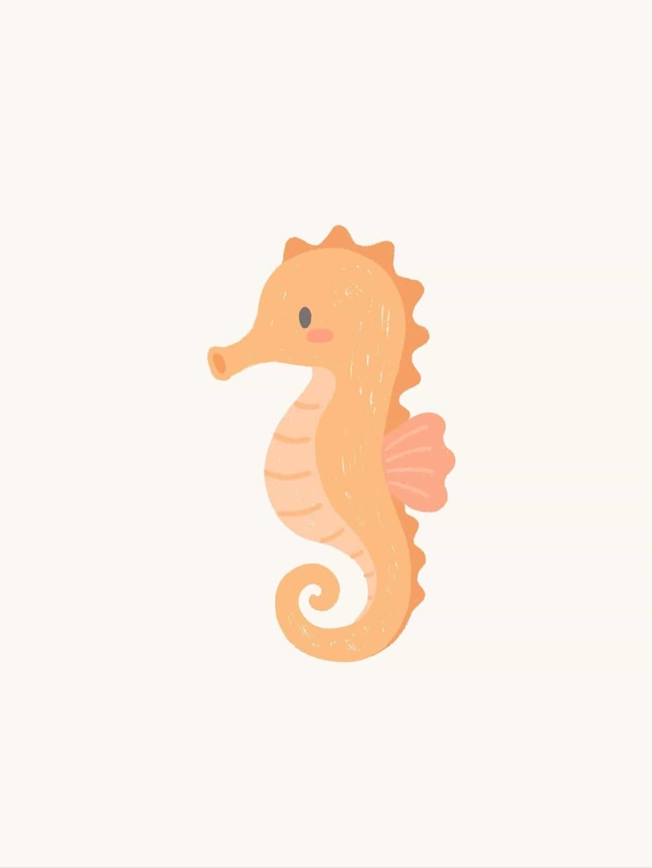 Caballito de mar